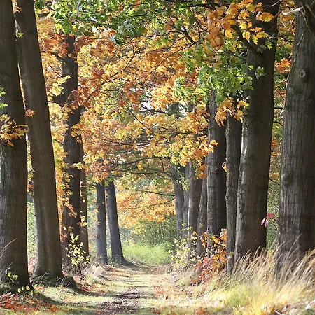 Het Beloofde Land Klarenbeek