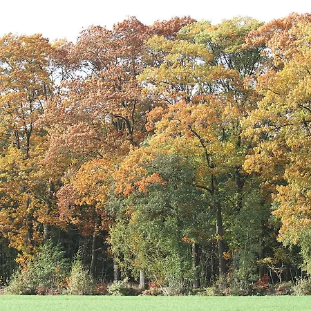 Alojamento de Acomodação e Pequeno-almoço Het Beloofde Land Klarenbeek