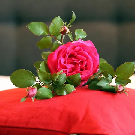 Bed & Breakfast Het Beloofde Land Klarenbeek