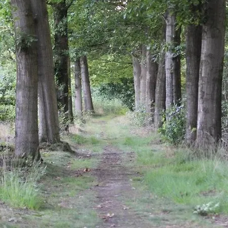 Het Beloofde Land Klarenbeek