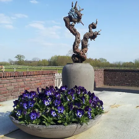 Het Beloofde Land