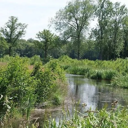 Het Beloofde Land