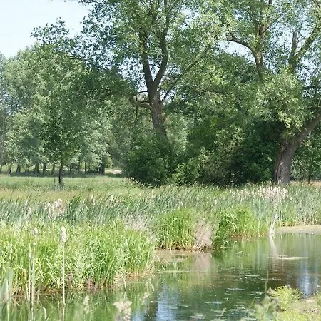 Bed & Breakfast Het Beloofde Land *