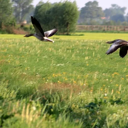 Het Beloofde Land